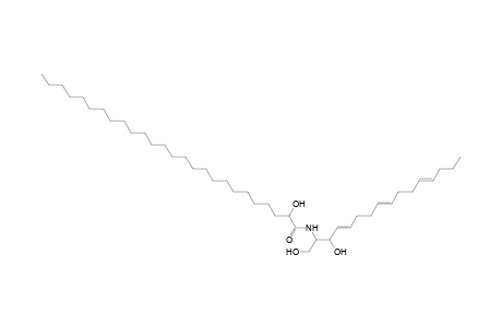 Cer 16:3;2O/26:0;(2OH)