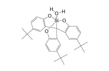 1-AQUO-5-CARBASILATRANE