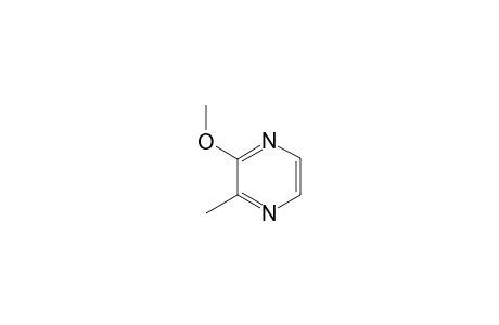 2-METHOHY-3-METHYLPYRAZINE