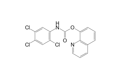 2,4,5-trichlorocarbanilic acid, 8-quinolyl ester