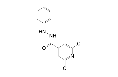 2,6-dichloroisonicotinic acid, 2-phenylhydrazide