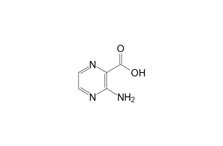 3-Amino-pyrazine-2-carboxylic acid