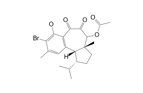 HAMIGERAN-C