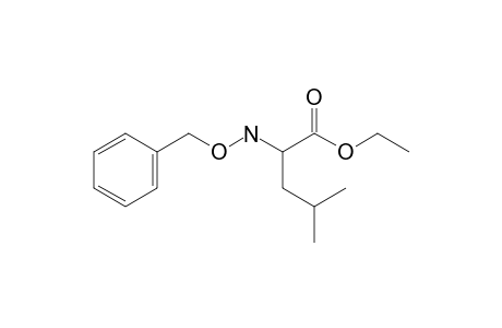 2-Benzyloxyamino-4-methylpentanoic acid ethyl ester