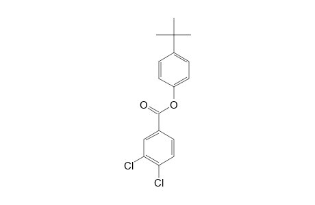 3,4-dichlorobenzoic acid, p-tert-butylphenyl ester