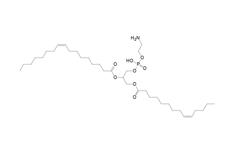 PE 14:1_17:1