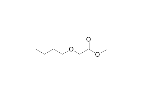 Methyl 2-butoxyacetate