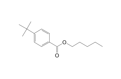 Benzoic acid, 4-tert-butyl-, pentyl ester