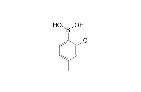 2-Chloro-4-methylbenzeneboronic acid