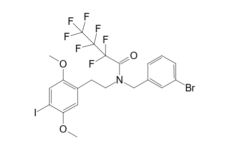 25I-NB3B HFB