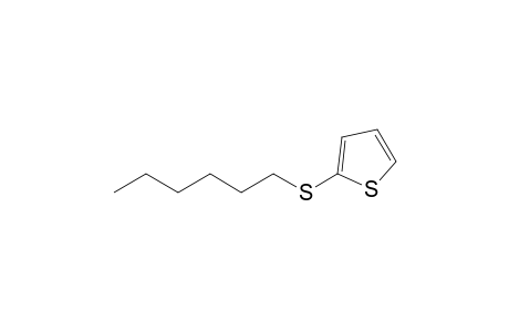 Thiophene, 2-(hexylthio)-