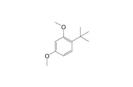1-tert-Butyl-2,4-dimethoxybenzene