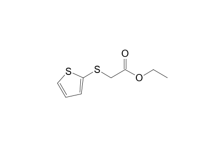 ethyl 2-thiophen-2-ylsulfanylacetate