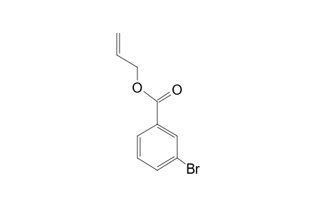 m-Bromobenzoic acid, allyl ester