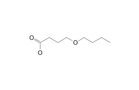 Butanoic acid, 4-butoxy-