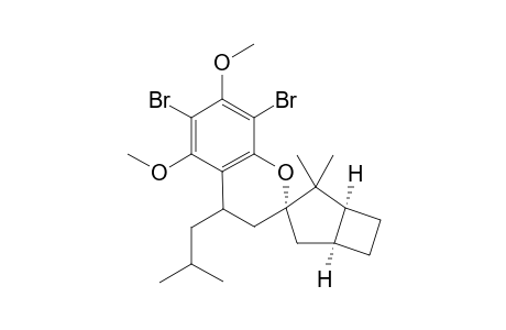 Spiro[2H-1-benzopyran-2,3'-bicyclo[3.2.0]heptane], 6,8-dibromo-3,4-dihydro-5,7-dimethoxy-2',2'-dimethyl-4-(2-methylpropyl)-, [1'.alpha.,3'.alpha.,3'(S*),5'.alpha.]-(.+-.)-