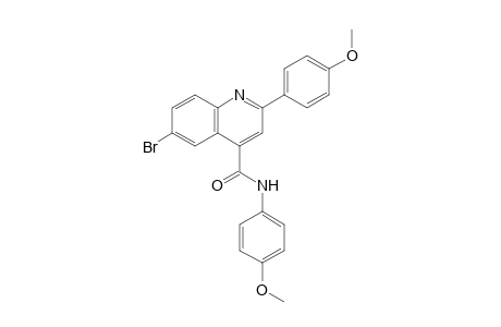 6-bromo-N,2-bis(4-methoxyphenyl)-4-quinolinecarboxamide