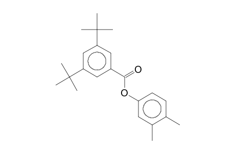 3,4-XYLYL 3,5-DI-tert-BUTYLBENZOATE