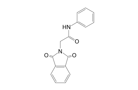 2-(1,3-dioxo-1,3-dihydro-2H-isoindol-2-yl)-N-phenylacetamide