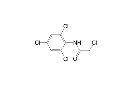 2,2',4',6'-tetrachloroacetanilide