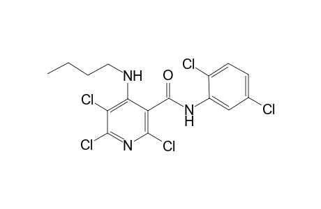 4-(butylamino)-2,5,6-trichloro-N-(2,5-dichlorophenyl)nicotinamide