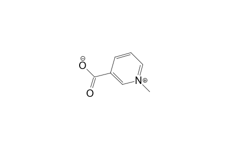 3-carboxy-1-methylpyridinium hydroxide, inner salt