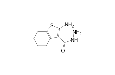 2-amino-4,5,6,7-tetrahydro-1-benzothiophene-3-carbohydrazide