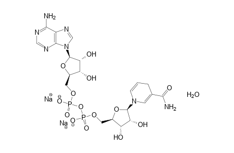 ß-Nicotinamide adenine dinucleotide hydrate