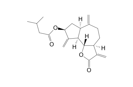 Zaluzanin C isovalerate