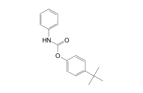 carbanilic acid, p-tert-butylphenyl ester