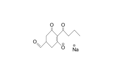 3-Cyclohexene-1-carboxaldehyde, 3-hydroxy-5-oxo-4-(1-oxobutyl)-, sodium salt