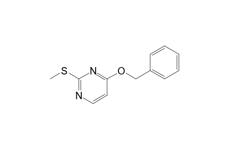 Pyrimidine, 2-(methylthio)-4-(phenylmethoxy)-