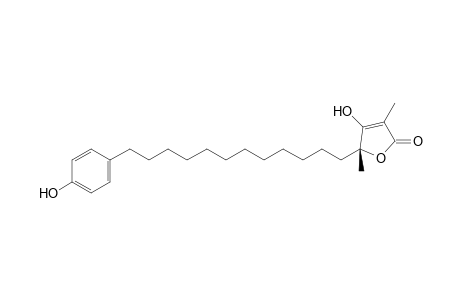 (19R)-Plakinidone B