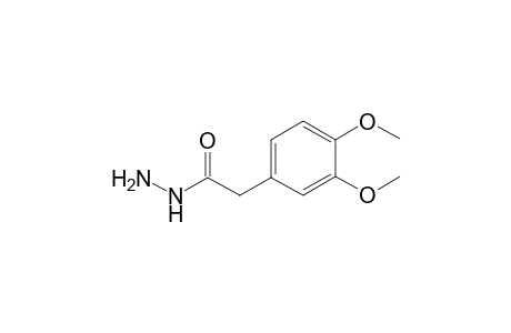 3,4-Dimethoxyphenylacetic acid hydrazide