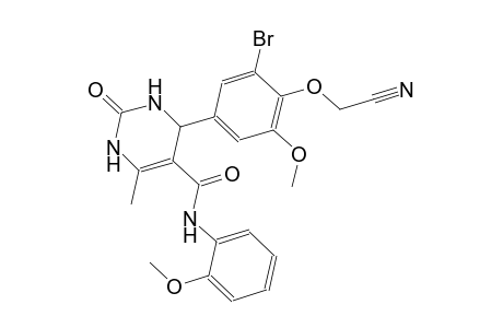 4-[3-bromo-4-(cyanomethoxy)-5-methoxyphenyl]-N-(2-methoxyphenyl)-6-methyl-2-oxo-1,2,3,4-tetrahydro-5-pyrimidinecarboxamide