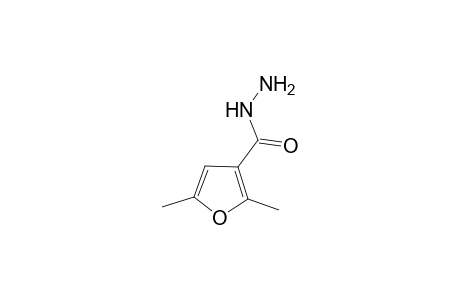 2,5-Dimethylfuran-3-carbohydrazide