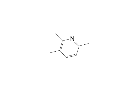 2,3,6-Trimethyl-pyridine