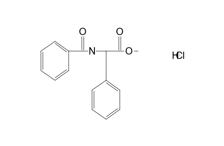 D-(-)-alpha-phenylhippuric acid, methyl ester, hydrochloride