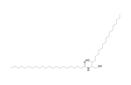 Cer 19:0;2O/22:0