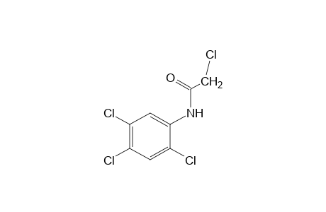 2,2',4',5'-tetrachloroacetanilide