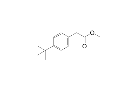 Methyl (4-tert-butylphenyl)acetate