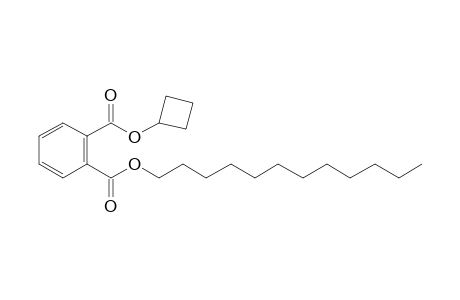 Phthalic acid, cyclobutyl dodecyl ester