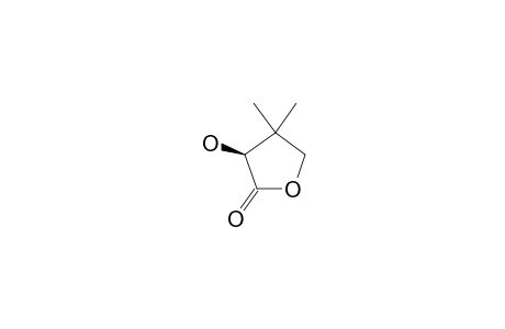 L-2,4-dihydroxy-3,3-dimethylbutyric acid, gamma-lactone