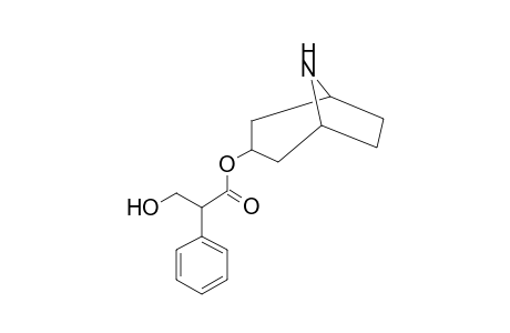 Atropine-M (nor-) MS2