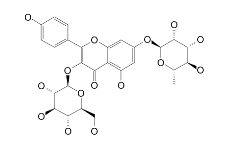 KAEMPFEROL-3-BETA-GLUCOSIDE-7-ALPHA-RHAMNOSIDE