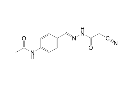 Cyanoacetic acid, (p-acetamidobenzylidene)hydrazide