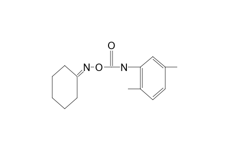 cyclohexanone, O-[(2,5-xylyl)carbamoyl]oxime