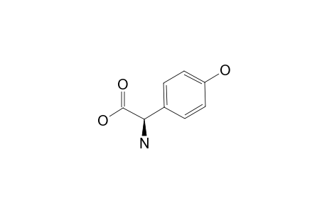 (-)-4-Hydroxy-D-phenylglycine