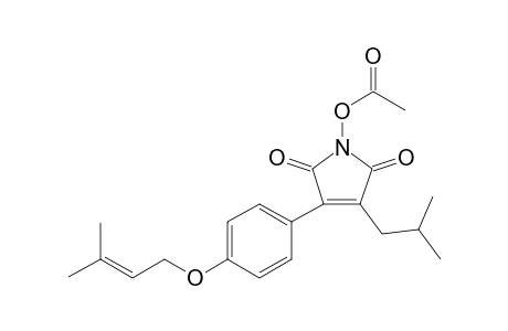 ANTROCINNAMOMIN_A;3-ISOBUTYL-4-[4-(3-METHYL-2-BUTENYLOXY)-PHENYL]-1-H-PYRROL-1-ACETOXYL_2,5-DIONE