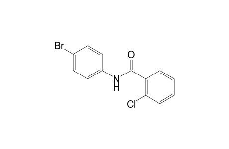 4'-bromo-2-chlorobenzanilide